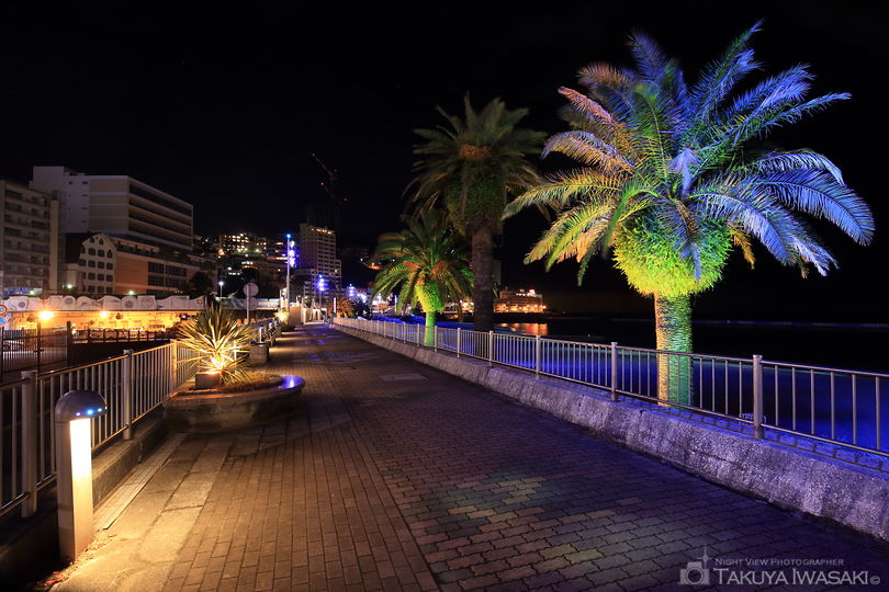 熱海サンビーチの夜景スポット写真（4）