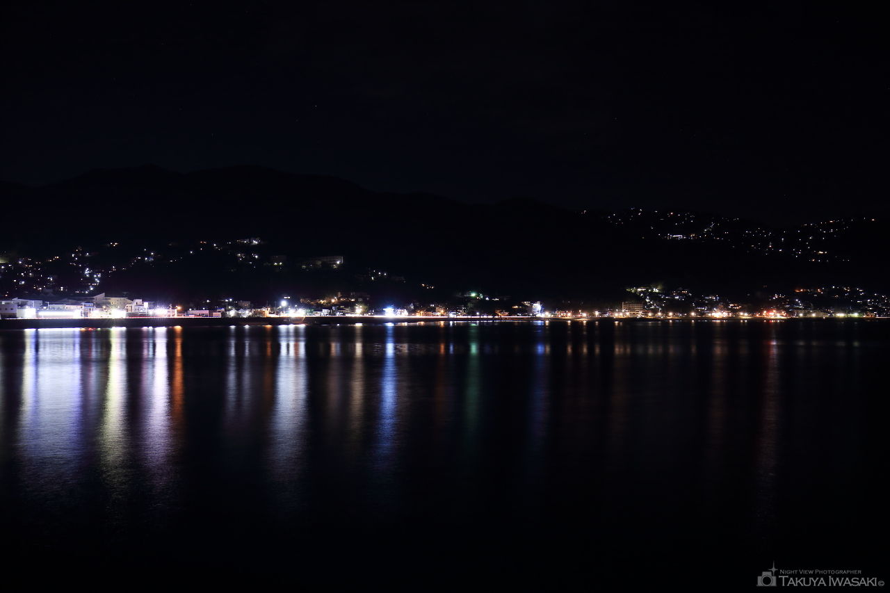 小山臨海公園の夜景スポット写真（1）
