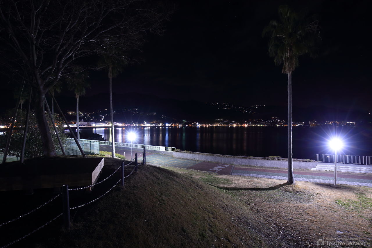 小山臨海公園の夜景スポット写真（3）