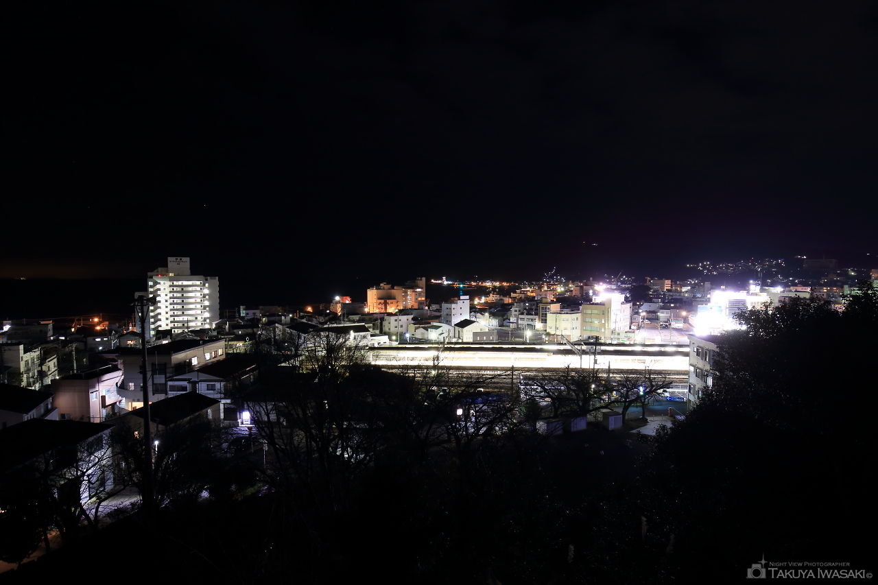 伊東公園の夜景スポット写真（1）