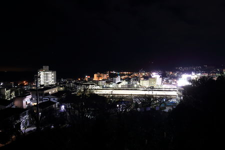 伊東公園の夜景スポット写真（1）class=