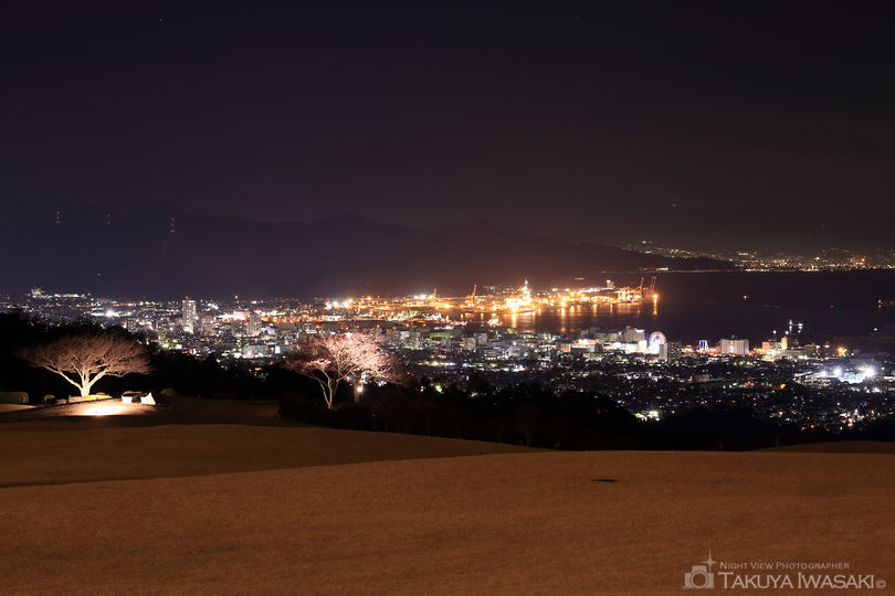 日本平ホテル 庭園の夜景スポット写真（2）
