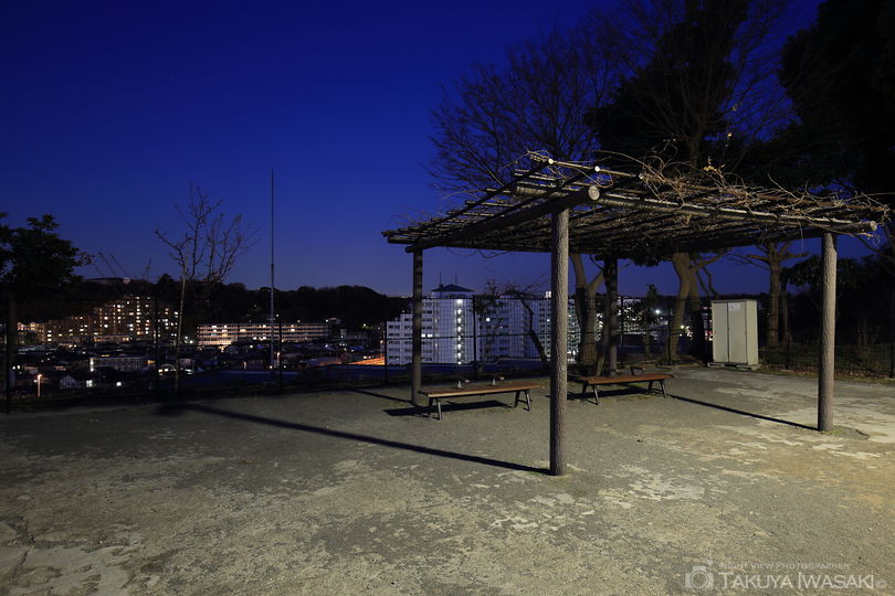 伊勢山公園 かざはや広場の夜景スポット写真（3）
