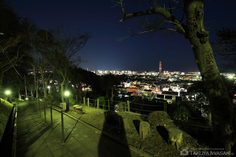 伊勢山公園　江の島が見える見晴台の夜景スポット写真（3）