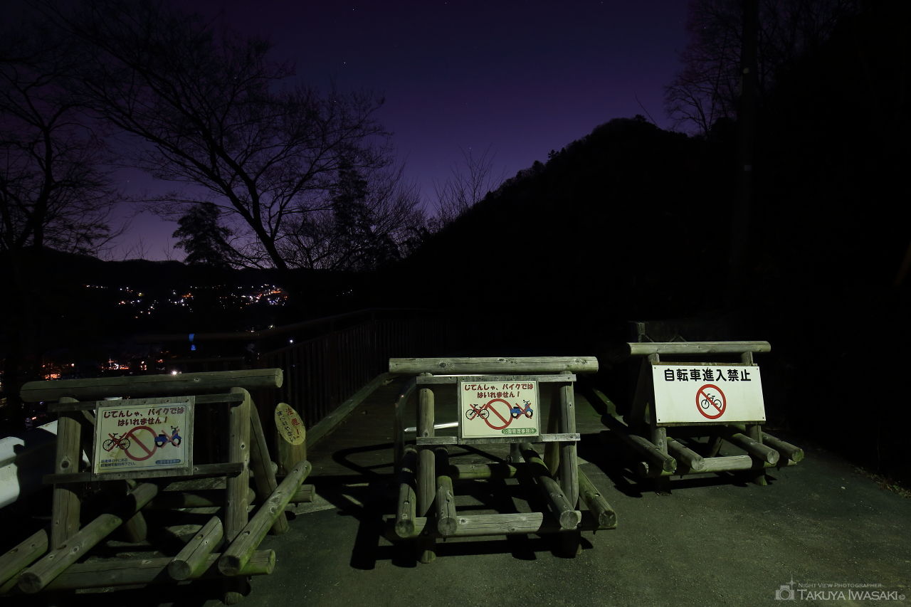 津久井湖城山公園　展望デッキの夜景スポット写真（4）