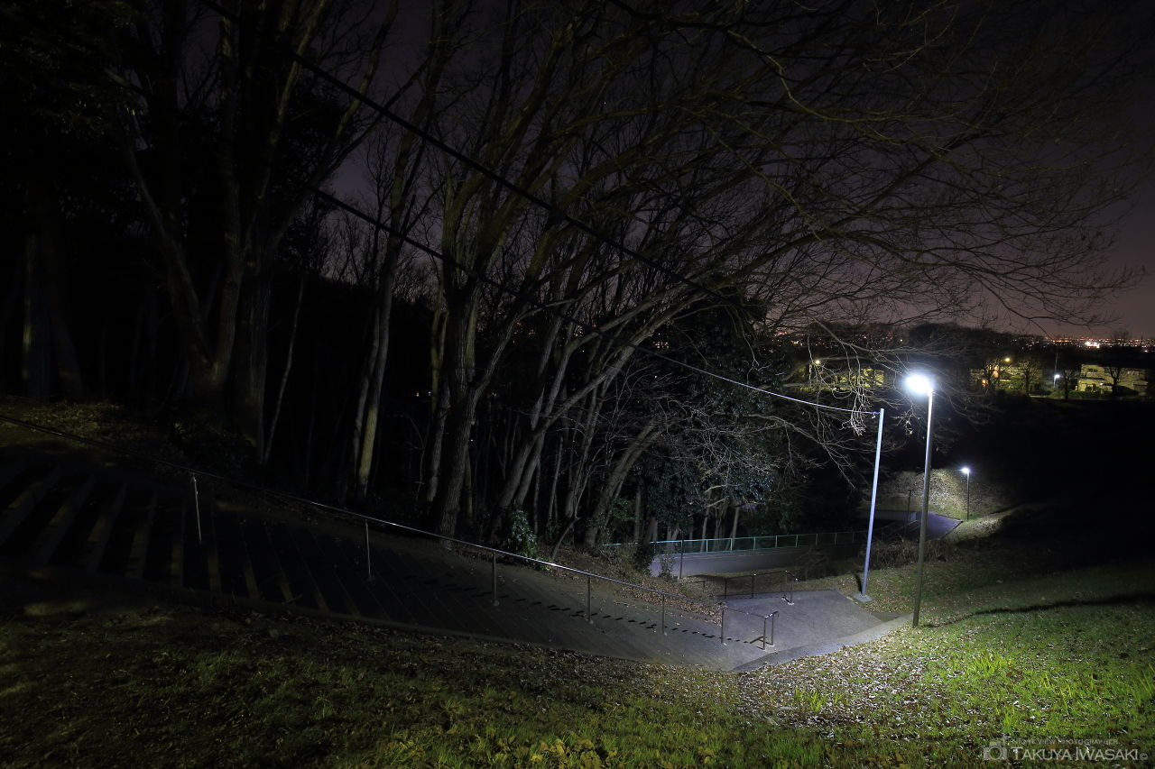 城山若葉台の夜景スポット写真（3）