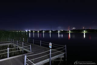 神之池緑地公園の夜景スポット写真（4）class=