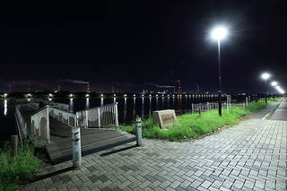 神之池緑地公園の夜景スポット写真（5）class=