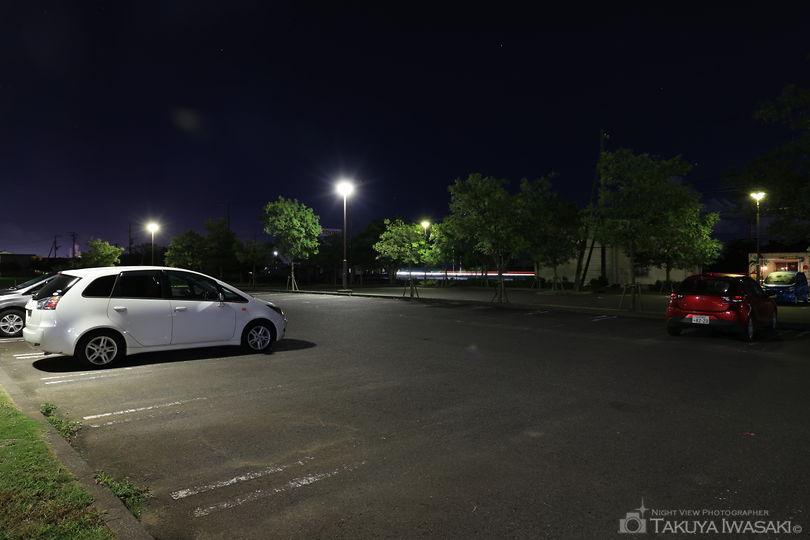 神之池緑地公園の夜景スポット写真（6）