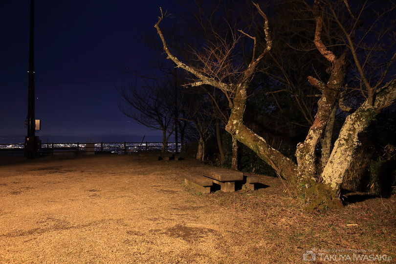 信貴公園の夜景スポット写真（3）