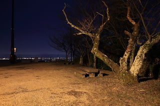 信貴公園の夜景スポット写真（3）class=