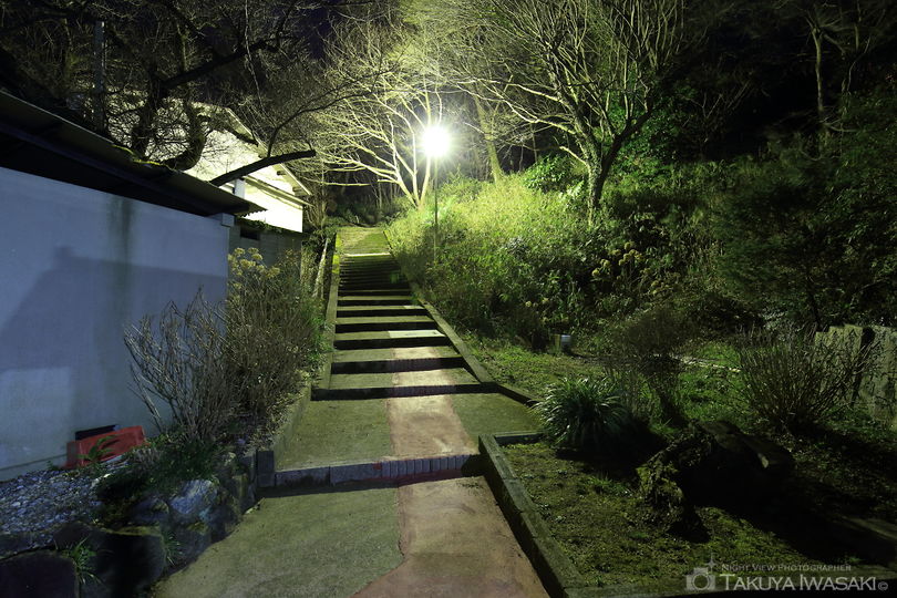 信貴公園の夜景スポット写真（4）