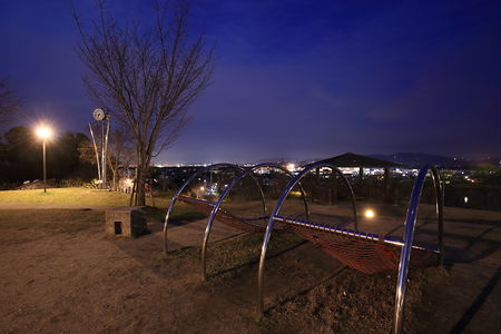 田辺公園の夜景スポット写真（2）class=