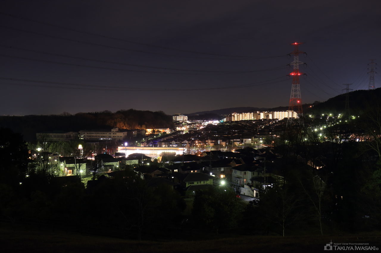 イモ山公園の夜景スポット写真（1）