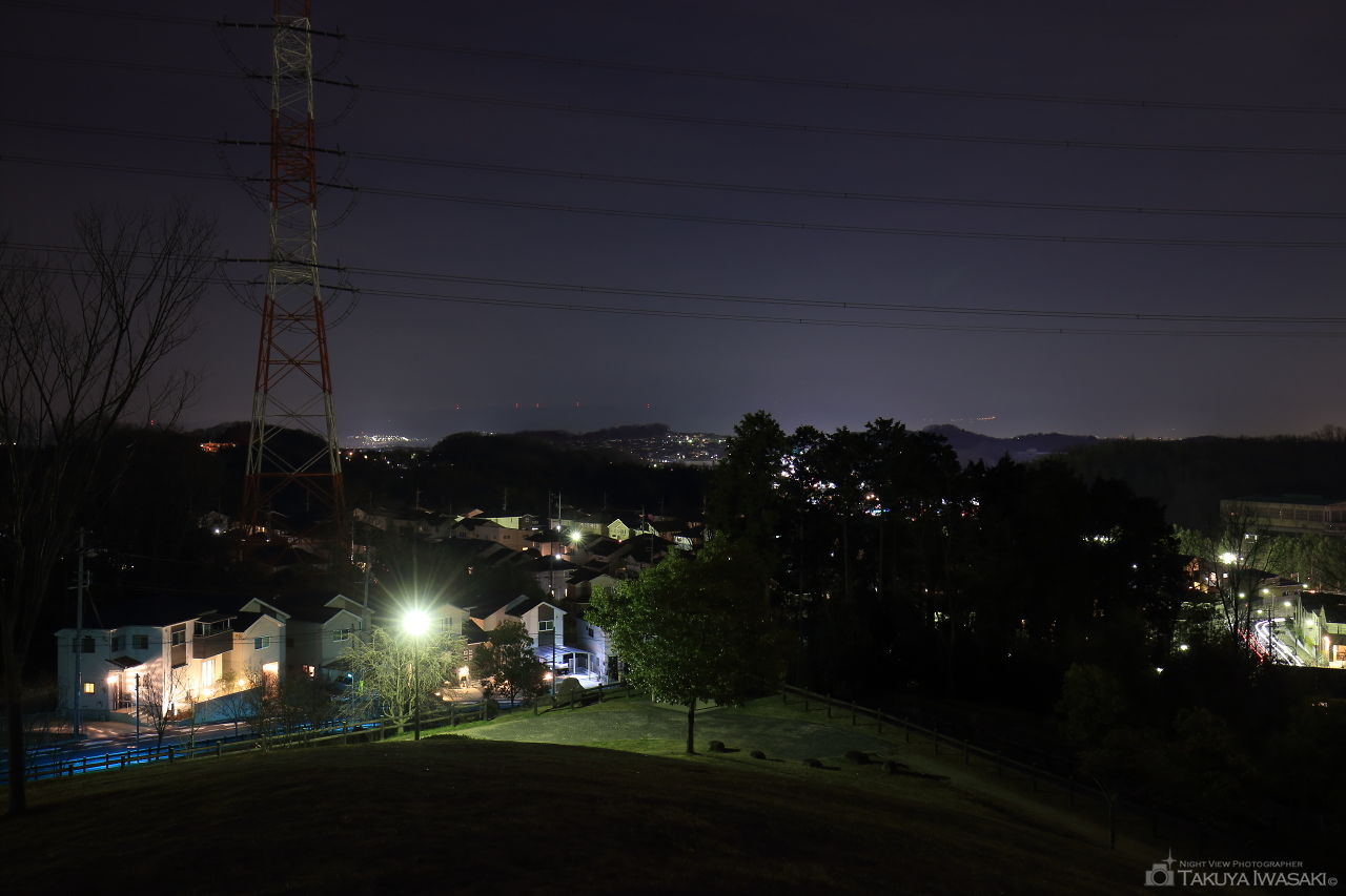 イモ山公園の夜景スポット写真（2）
