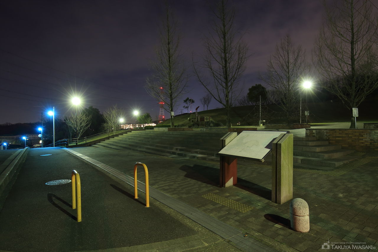 イモ山公園の夜景スポット写真（3）