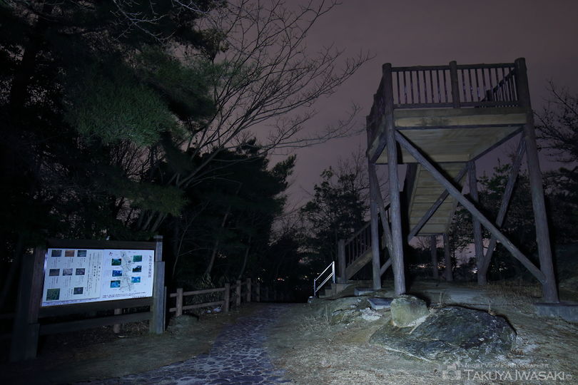 生駒山麓公園の夜景スポット写真（4）