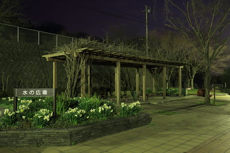 角山運動公園 水の広場の夜景スポット写真（3）class=