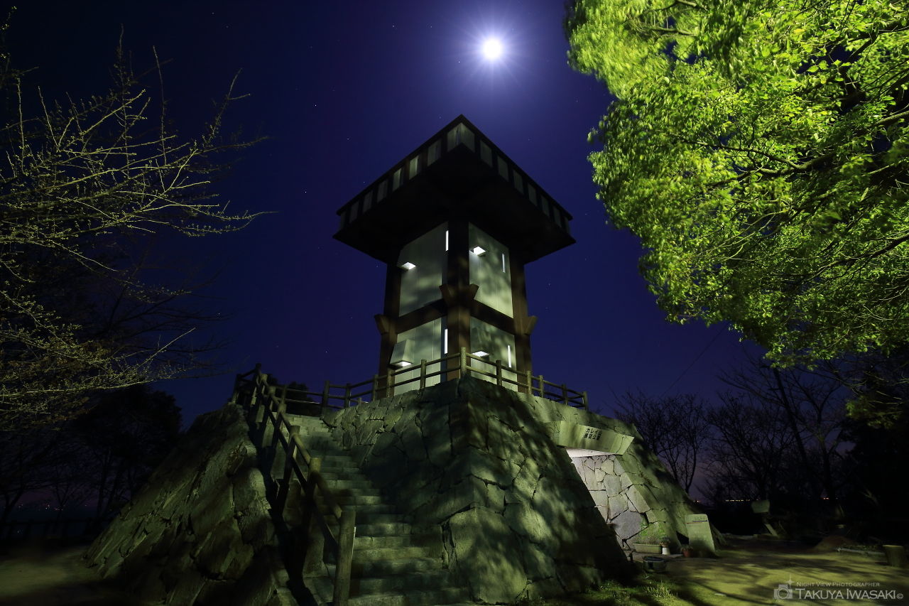 カレイ山展望公園の夜景スポット写真（3）