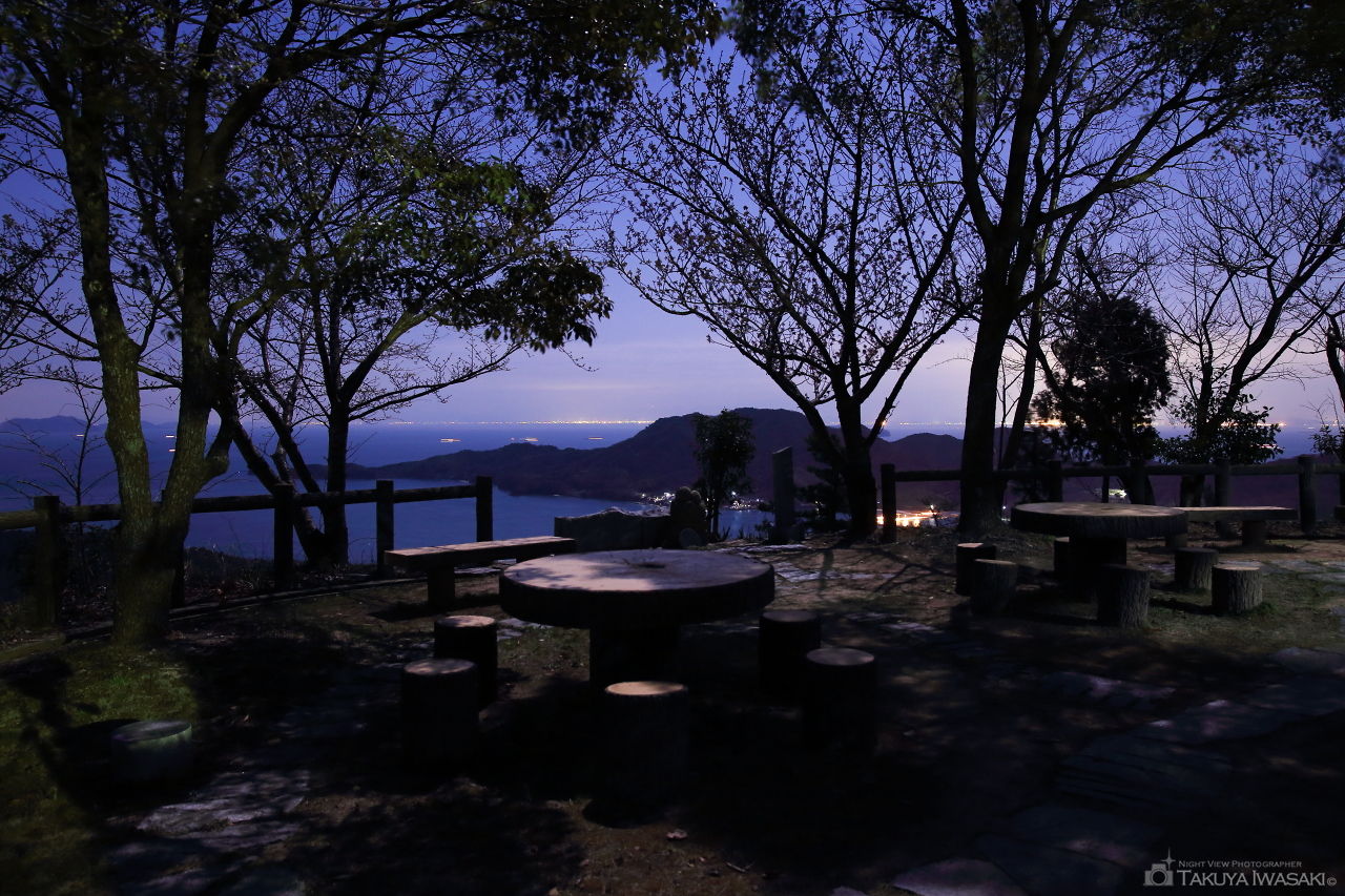 カレイ山展望公園の夜景スポット写真（4）