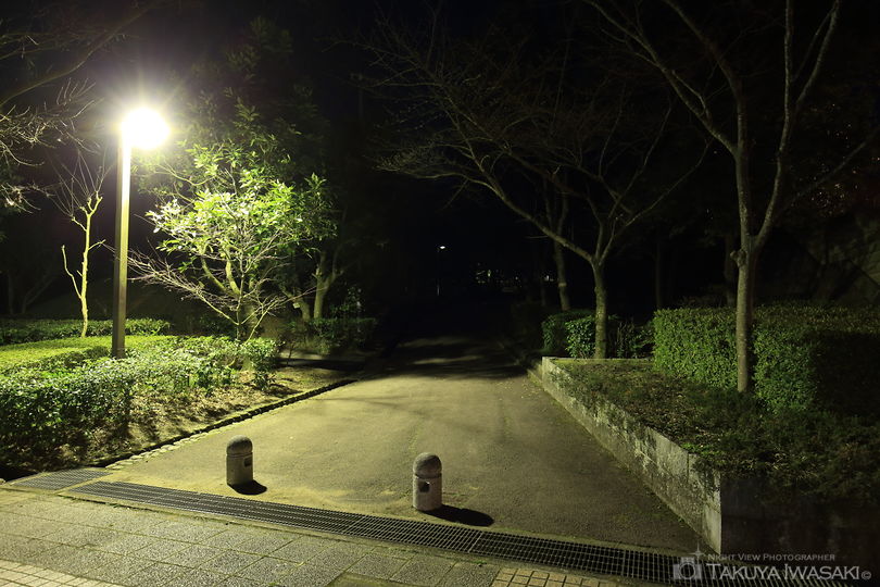 丹原総合公園の夜景スポット写真（3）