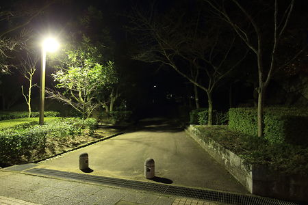丹原総合公園の夜景スポット写真（3）class=