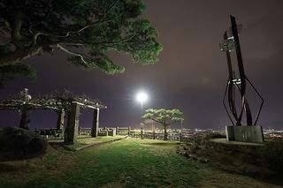 三島公園の夜景スポット写真（5）class=