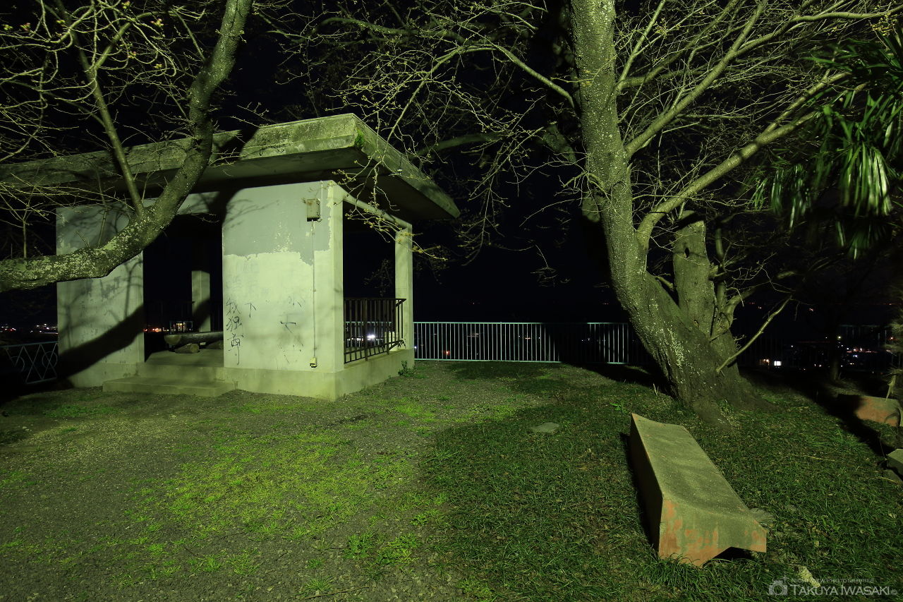 恵之久保公園の夜景スポット写真（4）