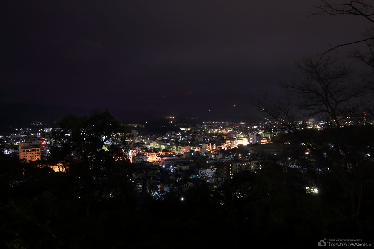 城山公園の夜景スポット写真（1）