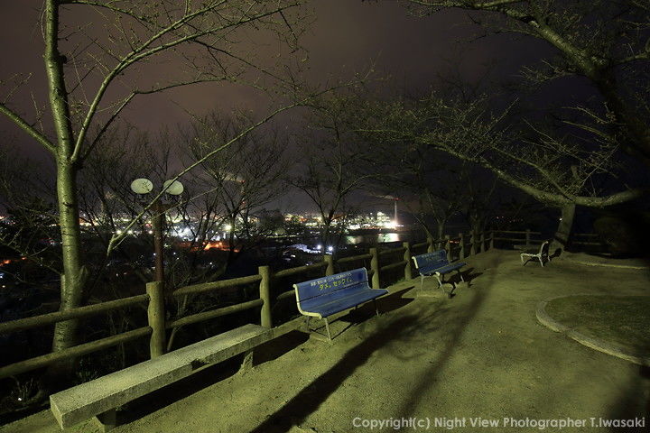 城山公園の夜景スポット写真（3）
