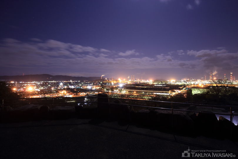 亀島山花と緑の丘公園 広場の夜景スポット写真（2）