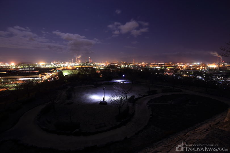 亀島山花と緑の丘公園 広場の夜景スポット写真（3）