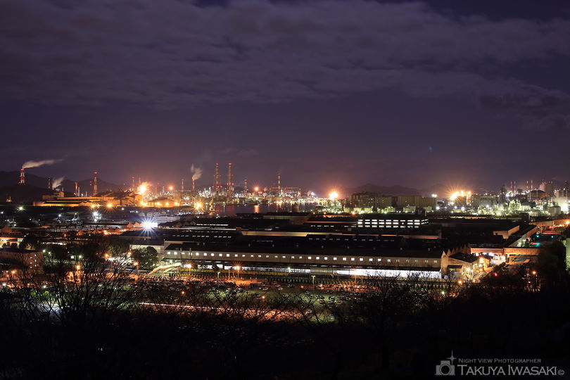 亀島山花と緑の丘公園 展望広場の夜景スポット写真（3）
