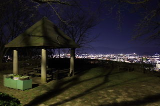 松山総合公園 東屋の夜景スポット写真（3）class=