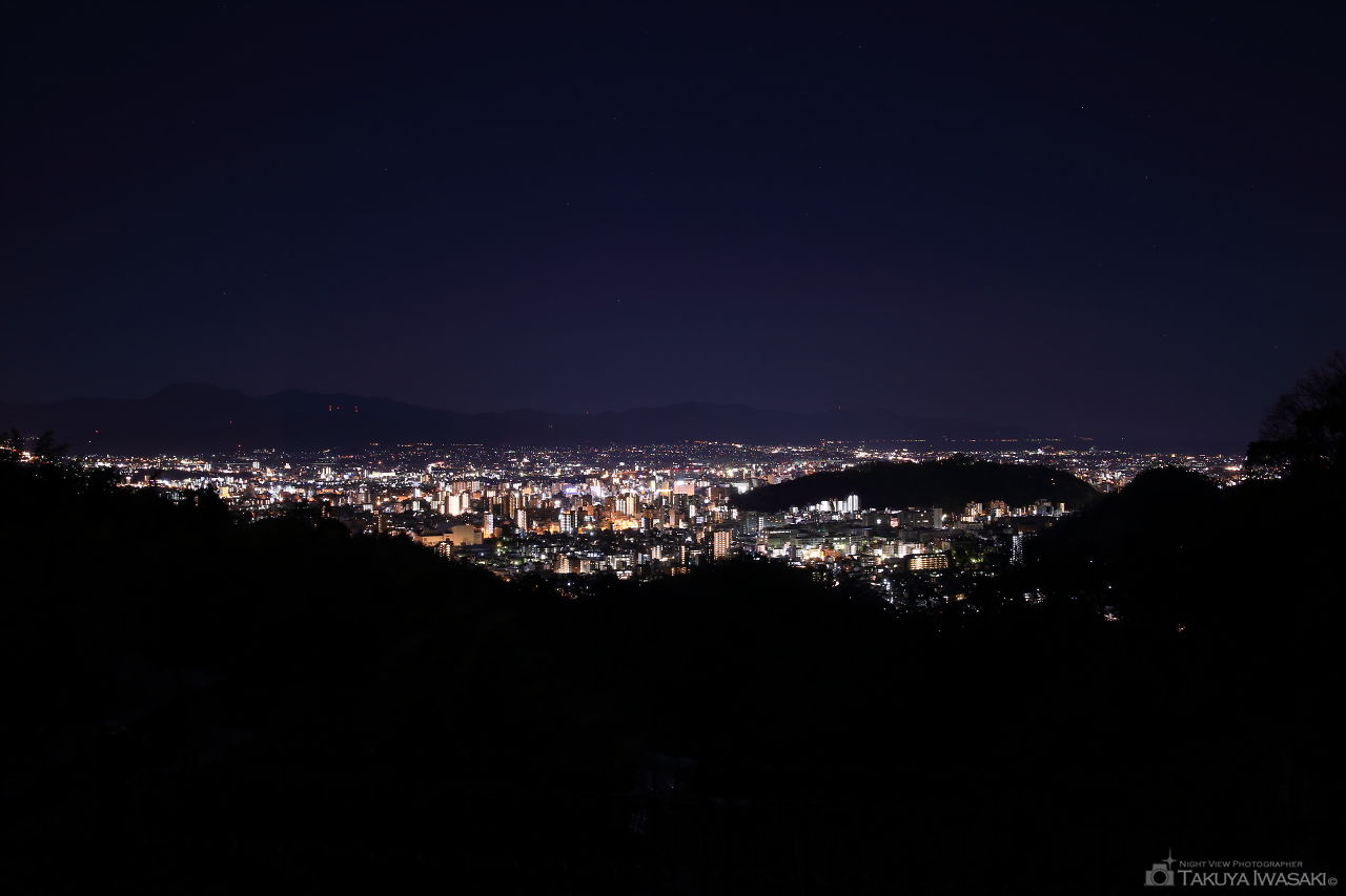 道後平ニュータウン パノラマパークの夜景スポット写真（1）