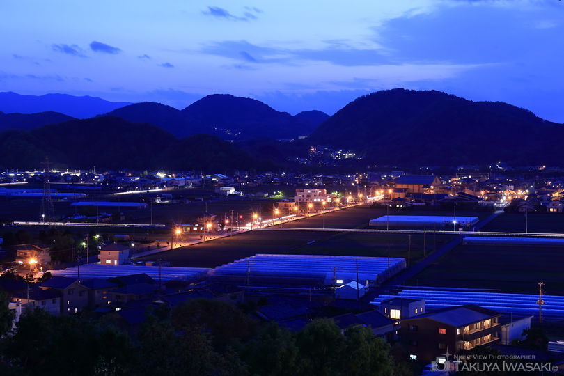韮山城跡の夜景スポット写真（1）