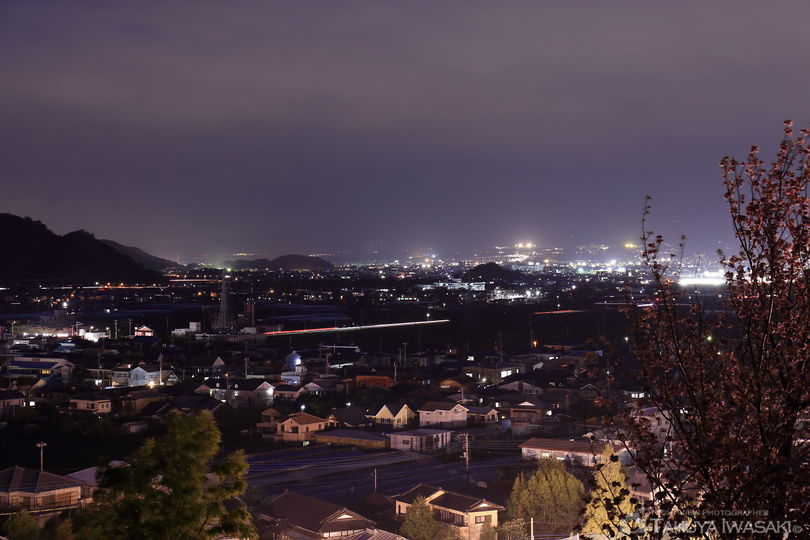 韮山城跡の夜景スポット写真（3）