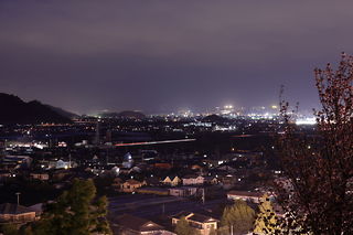 韮山城跡の夜景スポット写真（3）class=