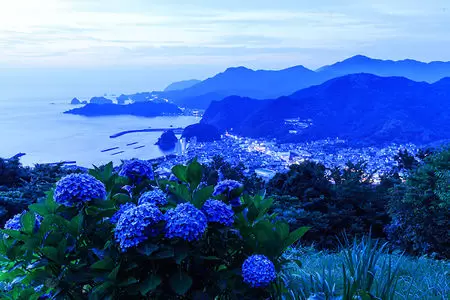 牛原山町民の森の夜景