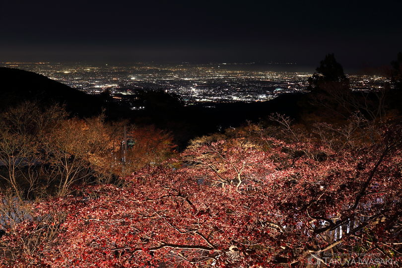 大山阿夫利神社の夜景スポット写真（2）