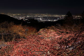 大山阿夫利神社の夜景スポット写真（2）class=