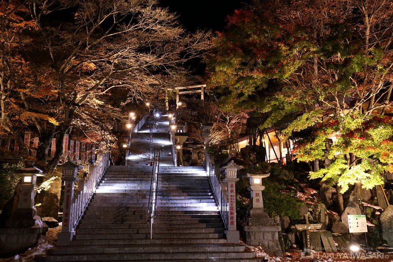 大山阿夫利神社の夜景スポット写真（5）