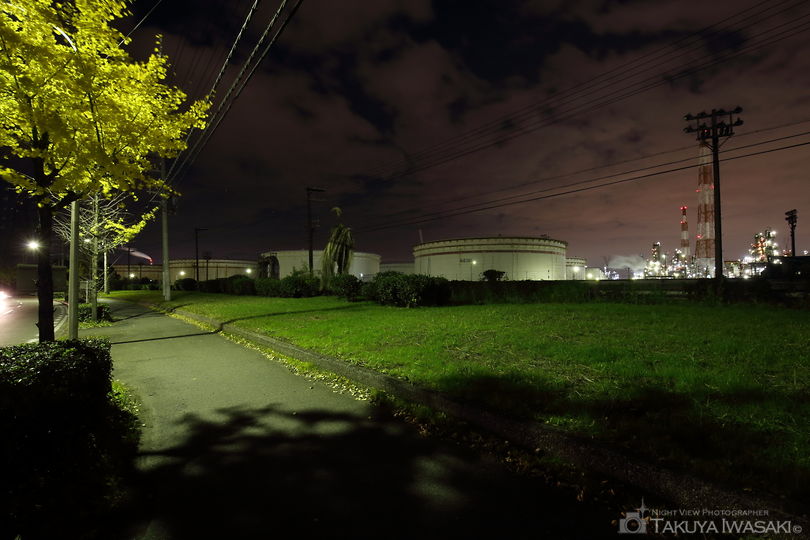 築港新町の夜景スポット写真（3）