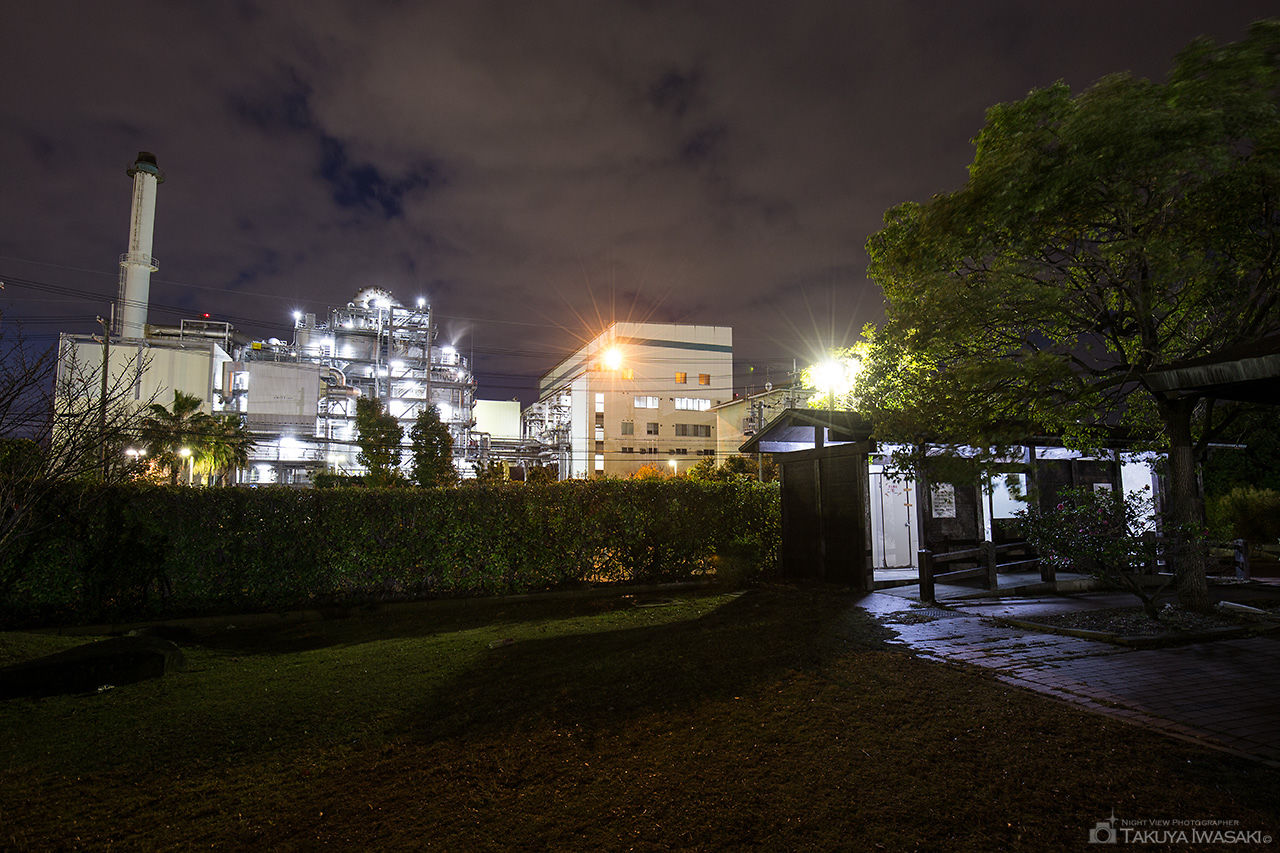 築港新町はまなでしこ公園の夜景スポット写真（4）