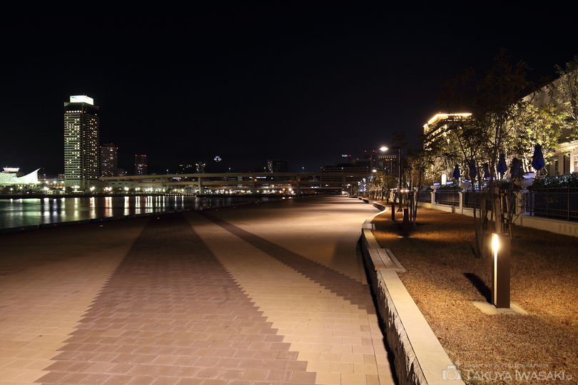 新港第一突堤緑地の夜景スポット写真（4）