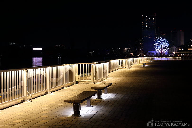 新港第一突堤緑地の夜景スポット写真（5）