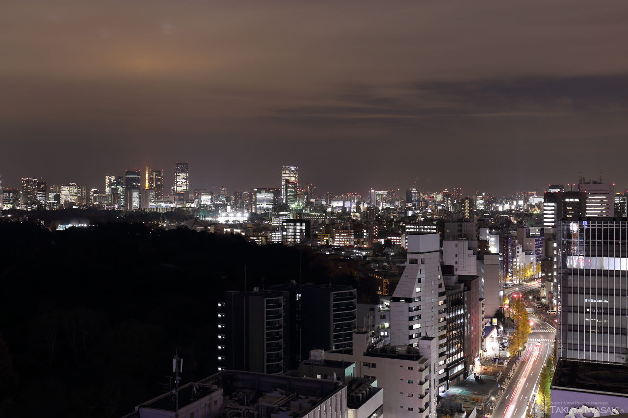 新宿御苑・千駄ヶ谷方面を望む