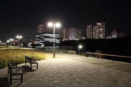 豊洲六丁目公園の夜景スポット写真（5）class=