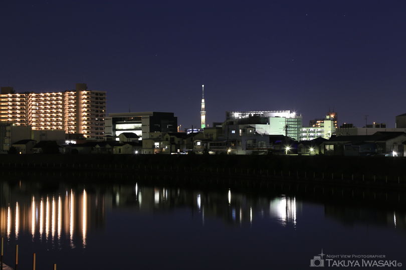 新田橋の夜景スポット写真（1）