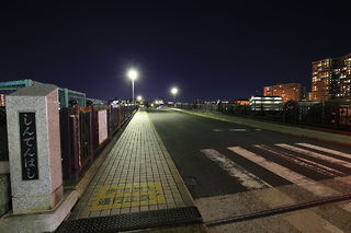 新田橋の夜景スポット写真（2）class=